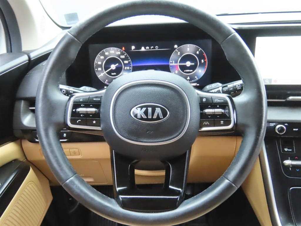 KIA Carnival - Vista 10