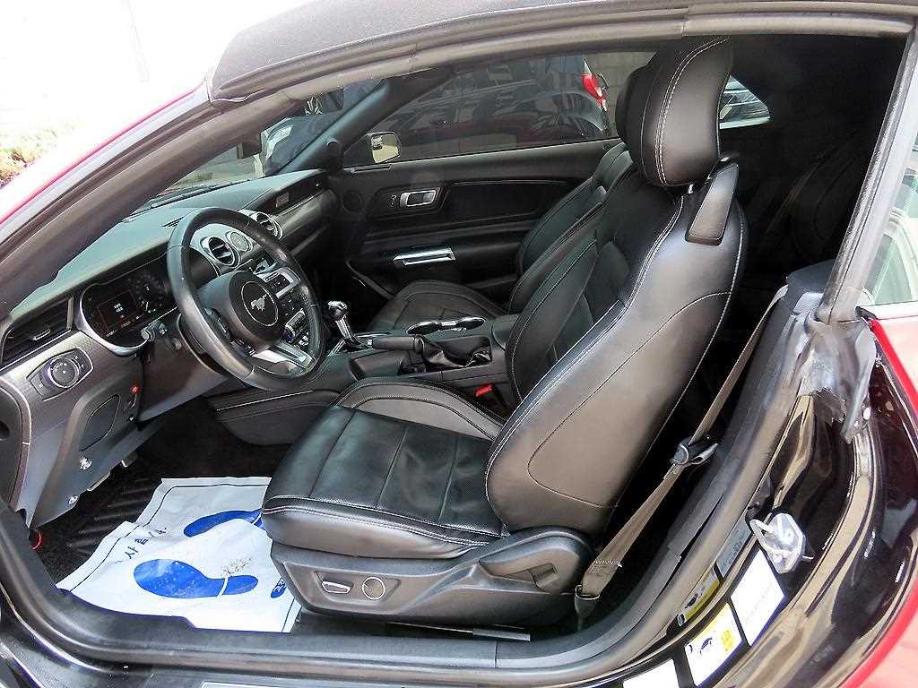 Ford Mustang - Vista 9