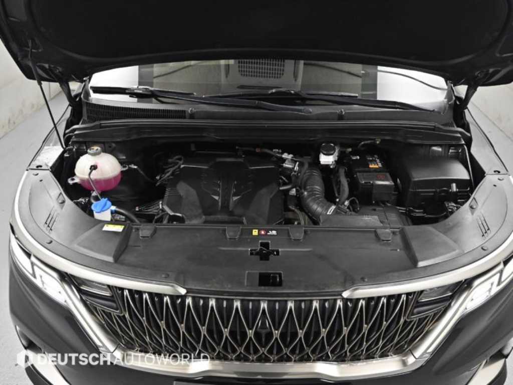 KIA Carnival - Vista 6