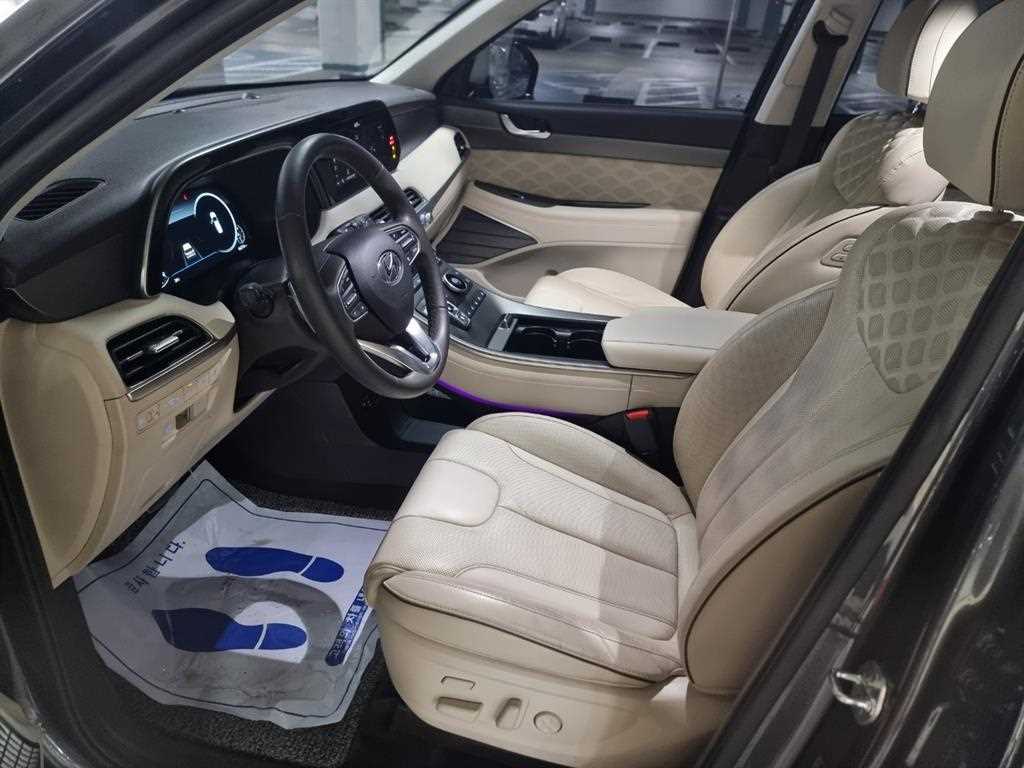 HYUNDAI Palisade - Vista 11