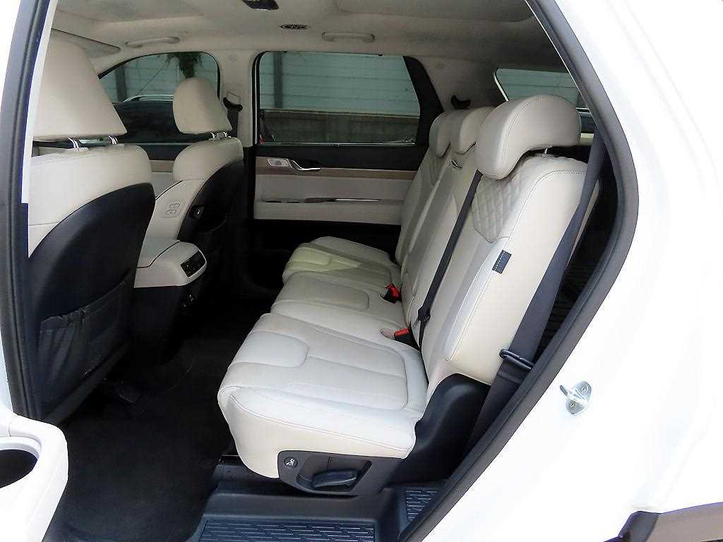 HYUNDAI Palisade - Vista 6