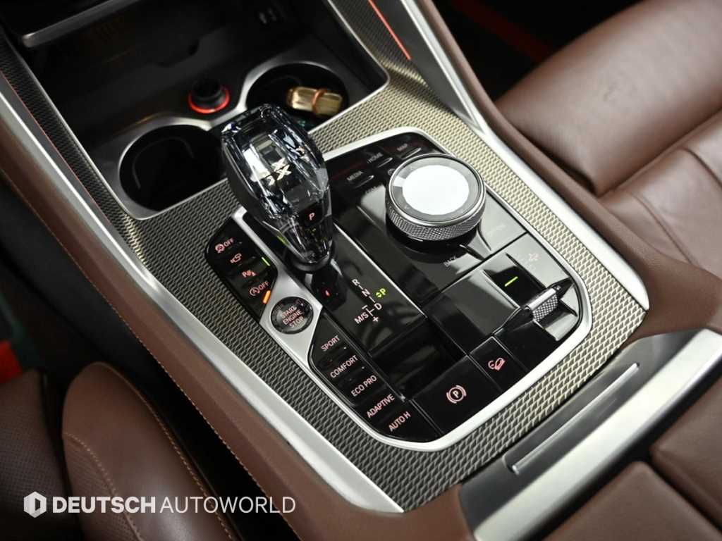 BMW X6 - Vista 9