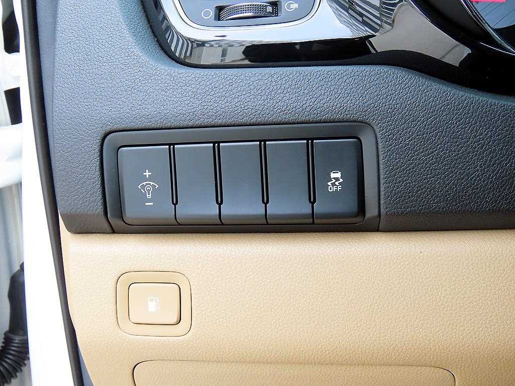 KIA Carnival - Vista 12