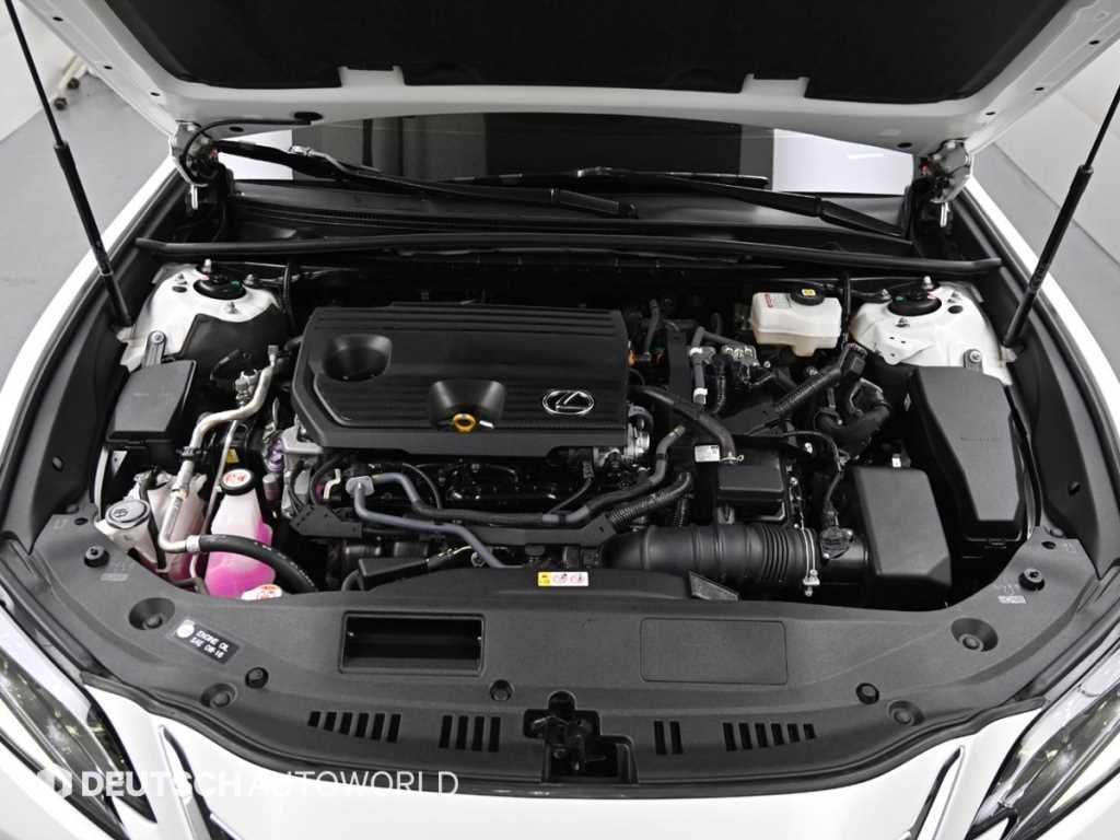 Lexus ES - Vista 6
