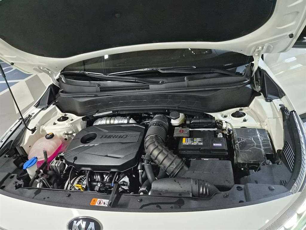 KIA Seltos 2022 Blanco - Importación desde Corea - HF Imports Iquique - Foto 19