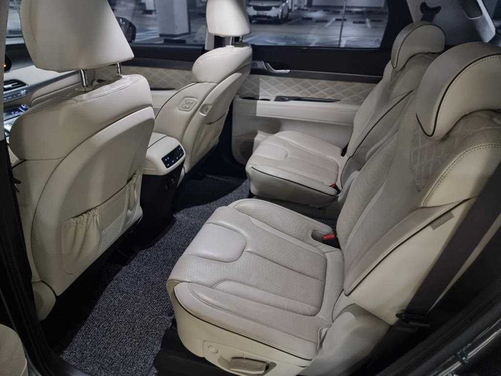 HYUNDAI Palisade - Vista 12