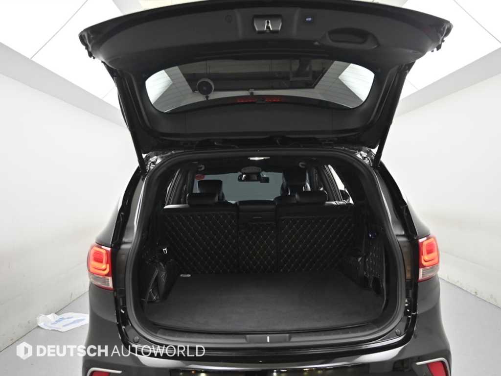 HYUNDAI Maxcruz - Vista 5