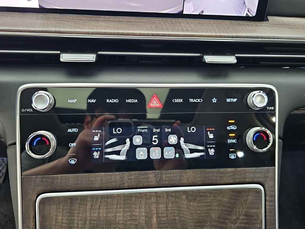 Genesis GV80 - Vista 10