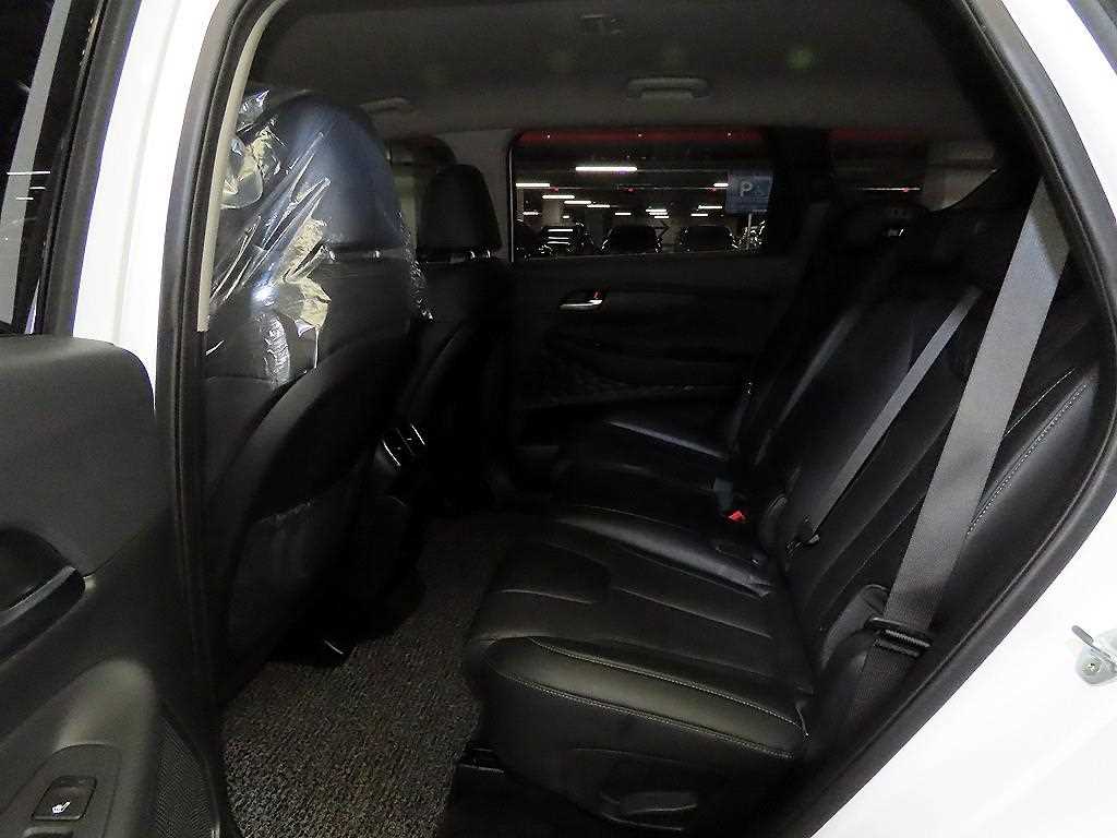 HYUNDAI Santa Fe - Vista 6