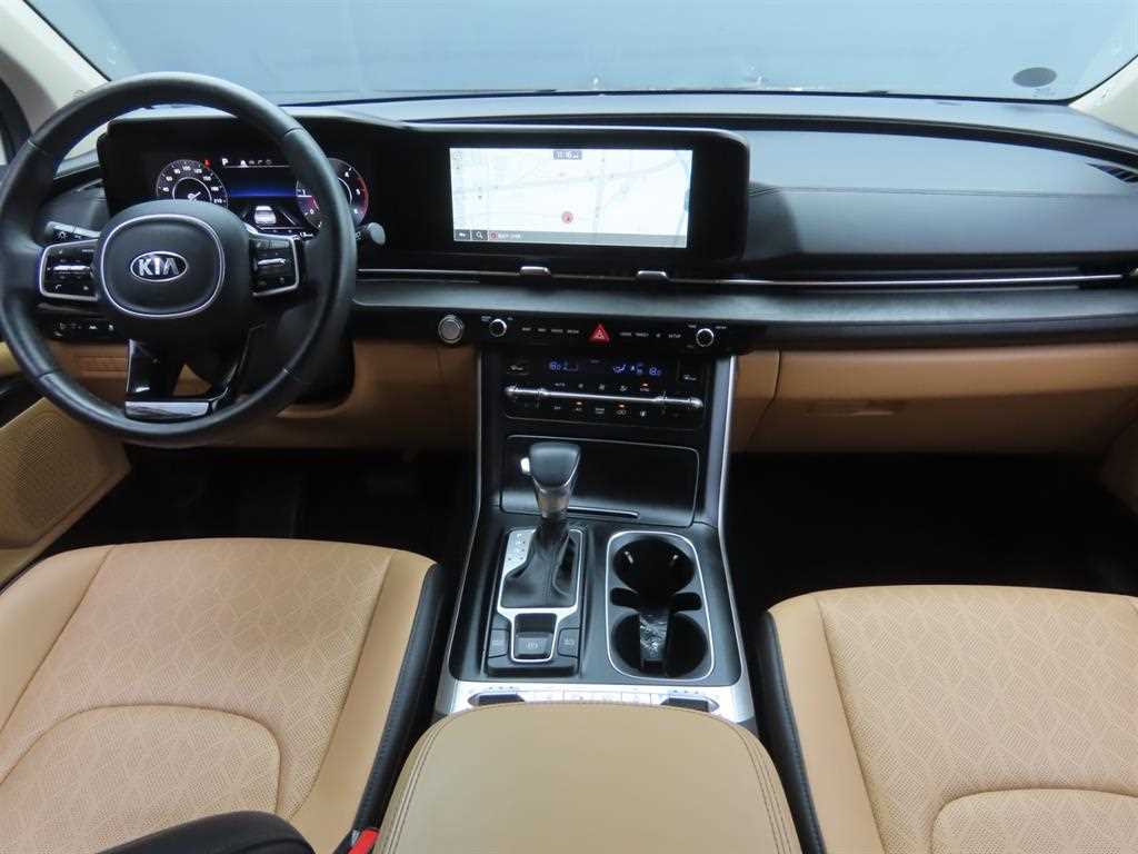 KIA Carnival - Vista 8