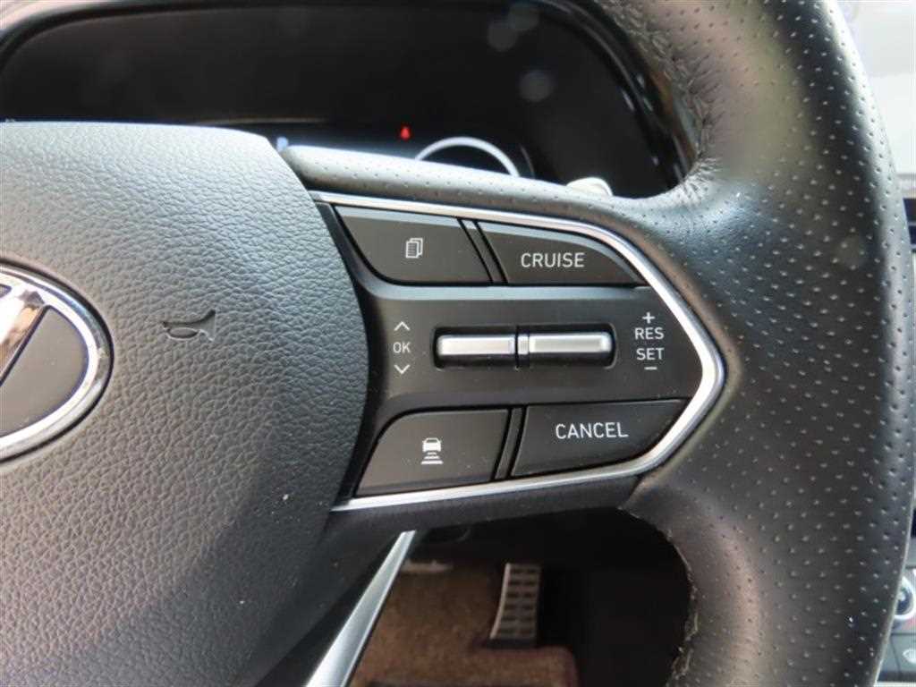 HYUNDAI Palisade - Vista 10