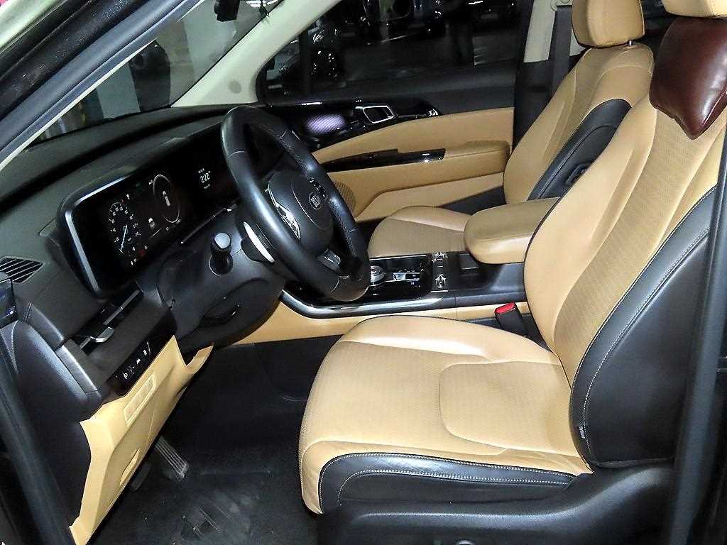 KIA Carnival - Vista 6