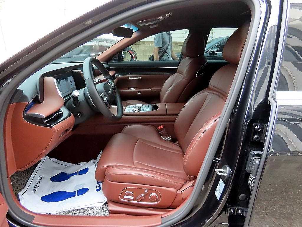 Genesis G90 - Vista 5