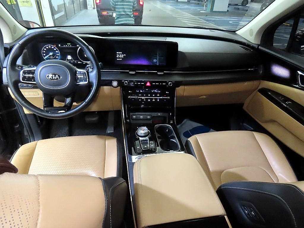 KIA Carnival - Vista 9