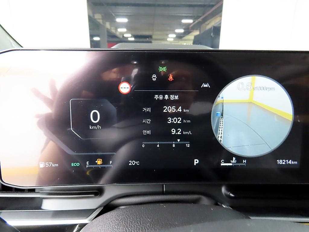KIA Carnival - Vista 8