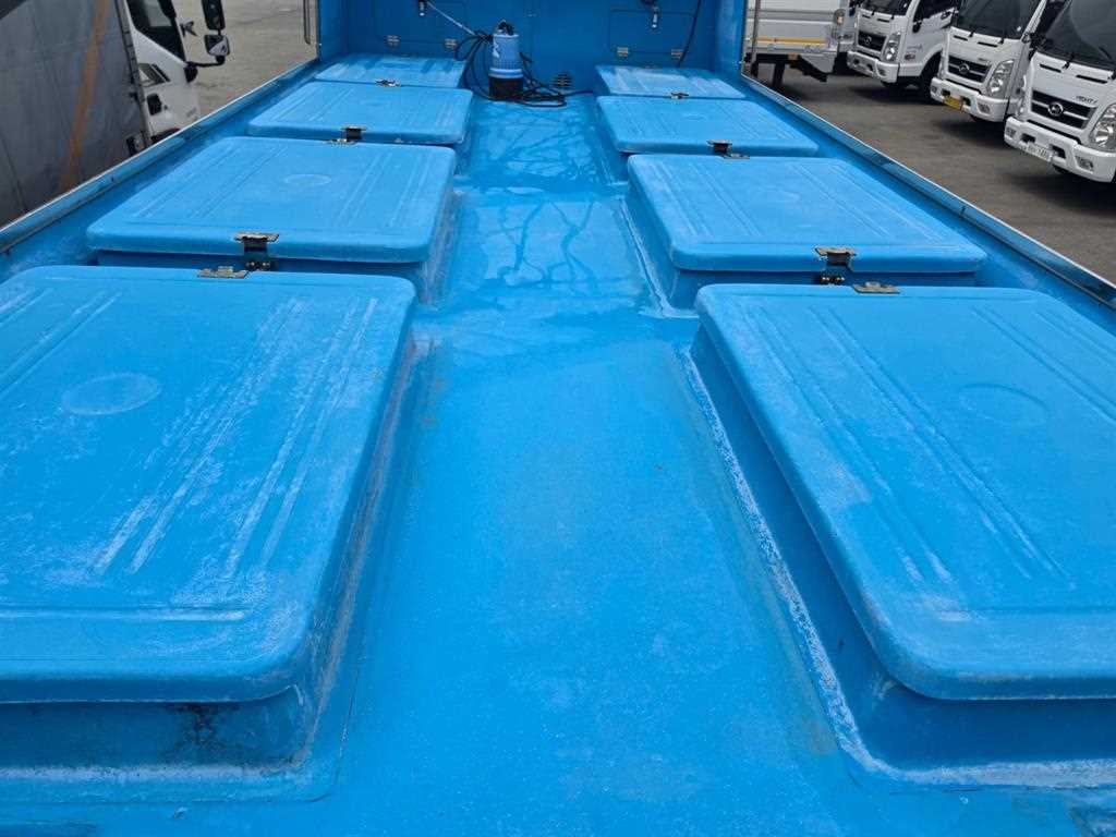 medium and large cargo Live Fish Car - Vista 6