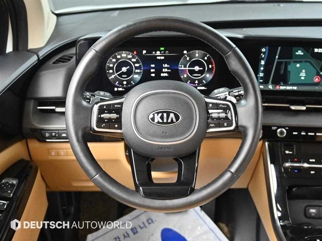 KIA Carnival - Vista 12