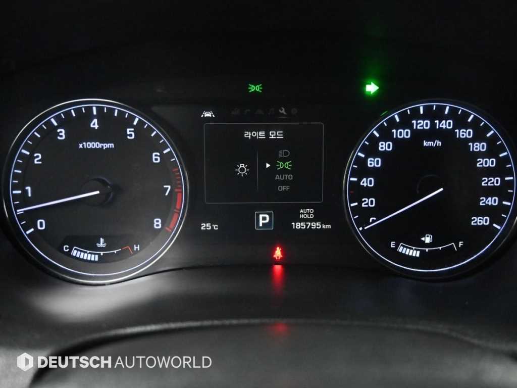 HYUNDAI Genesis - Vista 8