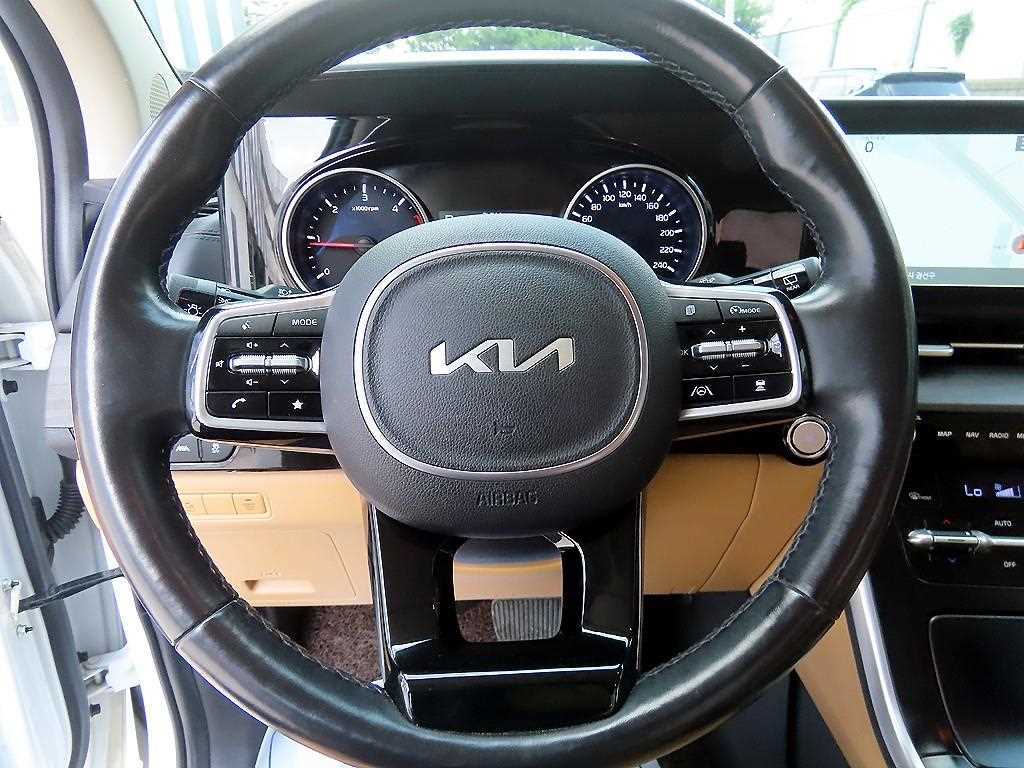 KIA Carnival - Vista 9