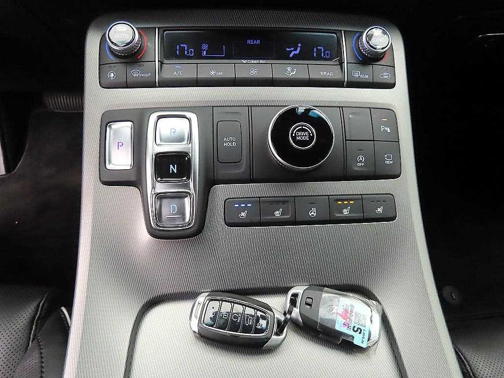 HYUNDAI Palisade - Vista 10
