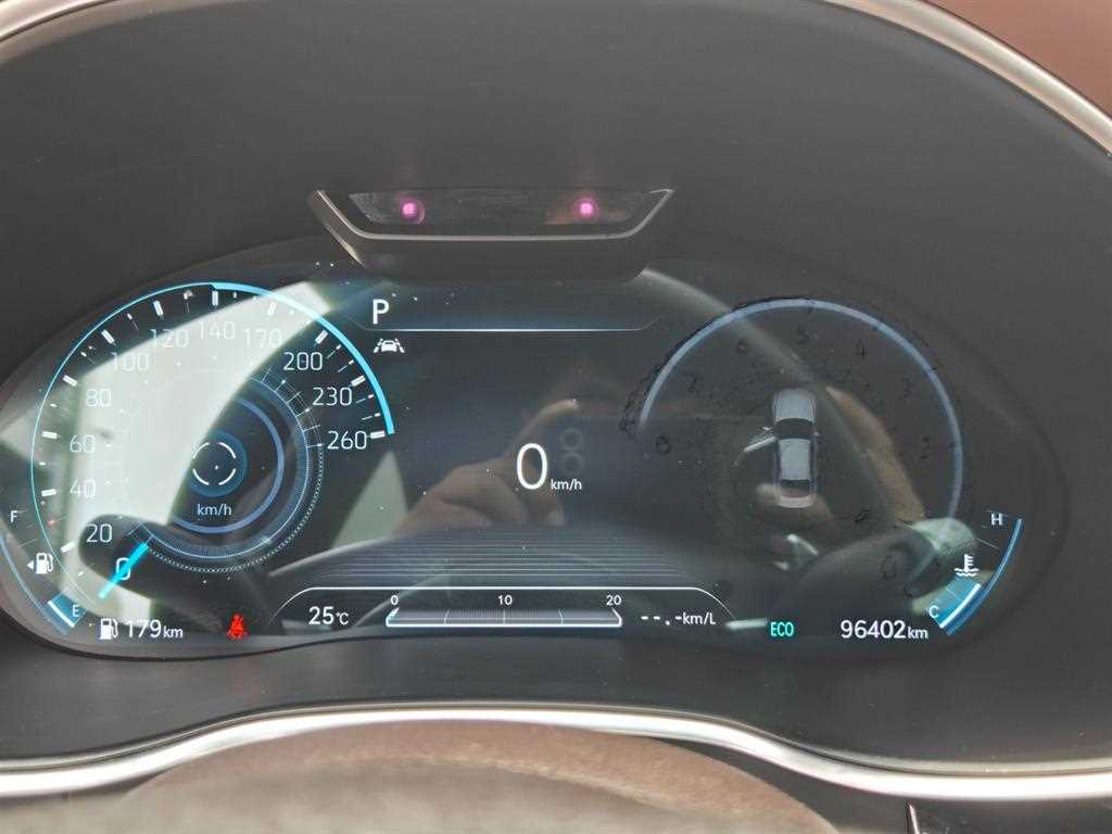 Genesis G80 - Vista 8