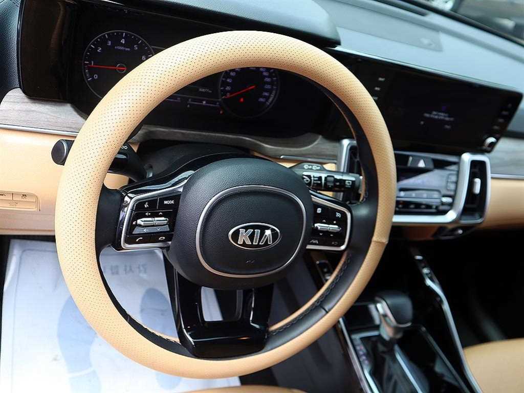 KIA Sorento - Vista 9