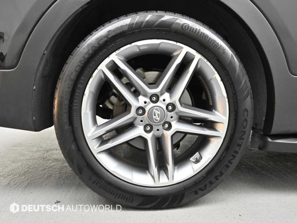 HYUNDAI Maxcruz - Vista 6
