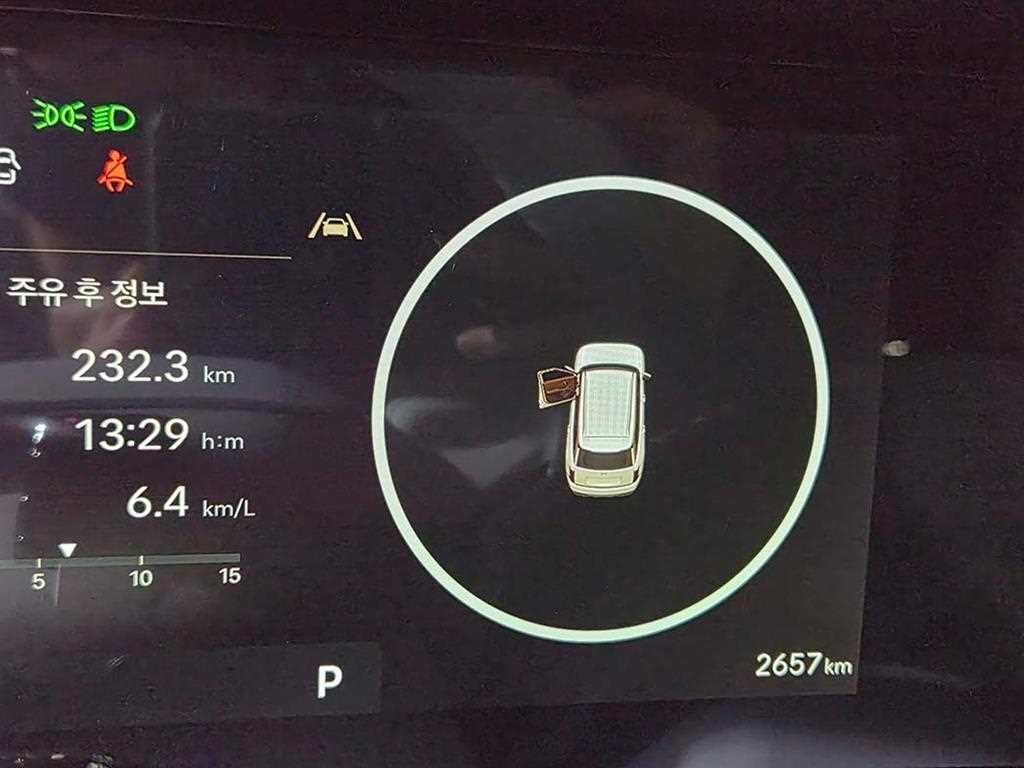 HYUNDAI Palisade - Vista 9