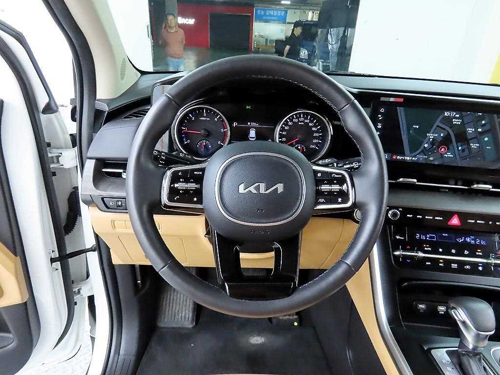 KIA Carnival - Vista 9