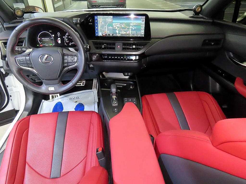 Lexus UX - Vista 10