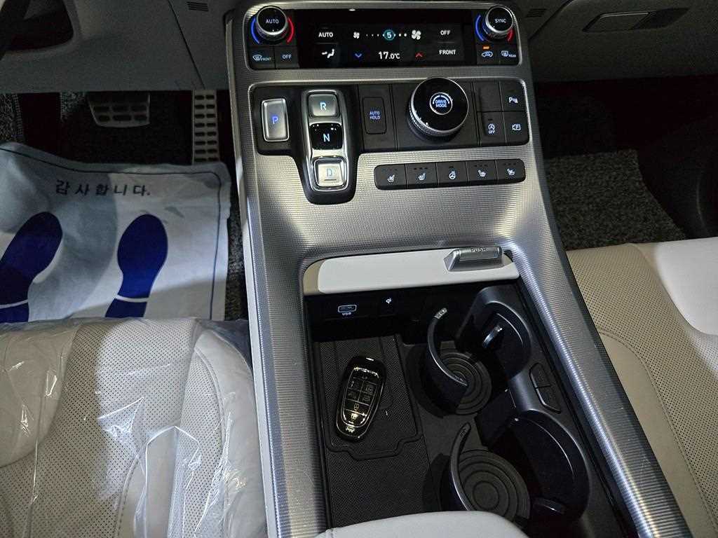 HYUNDAI Palisade - Vista 12