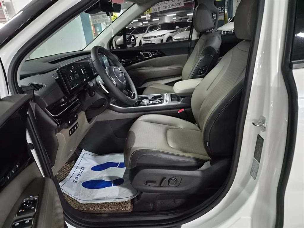 KIA Carnival - Vista 6