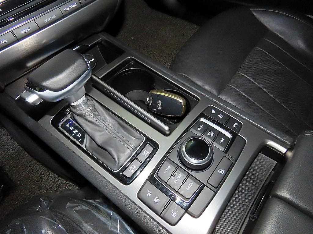 HYUNDAI Genesis - Vista 12