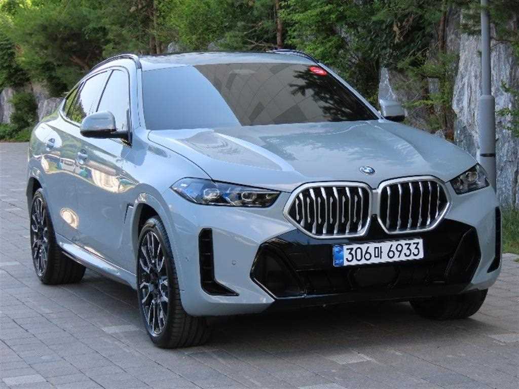 BMW X6 - Vista 2