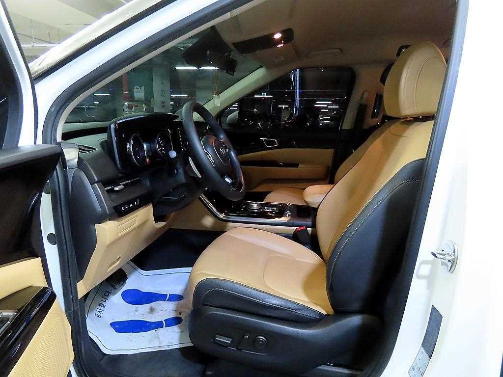KIA Carnival - Vista 6