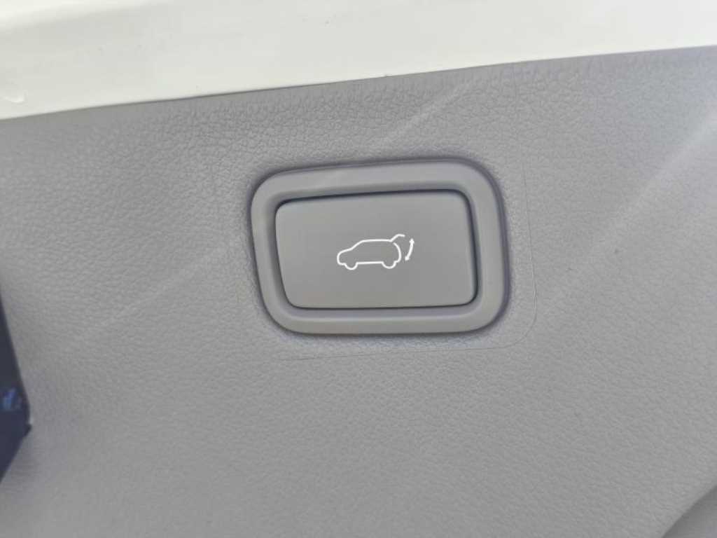 KIA Carnival - Vista 12
