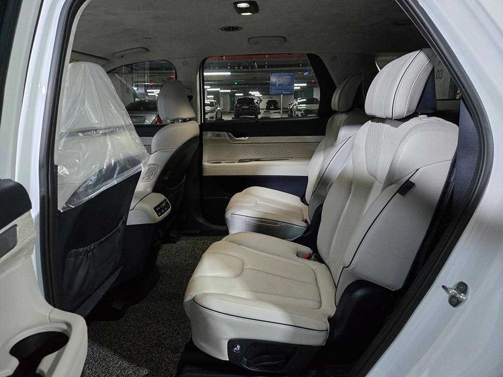 HYUNDAI Palisade - Vista 8