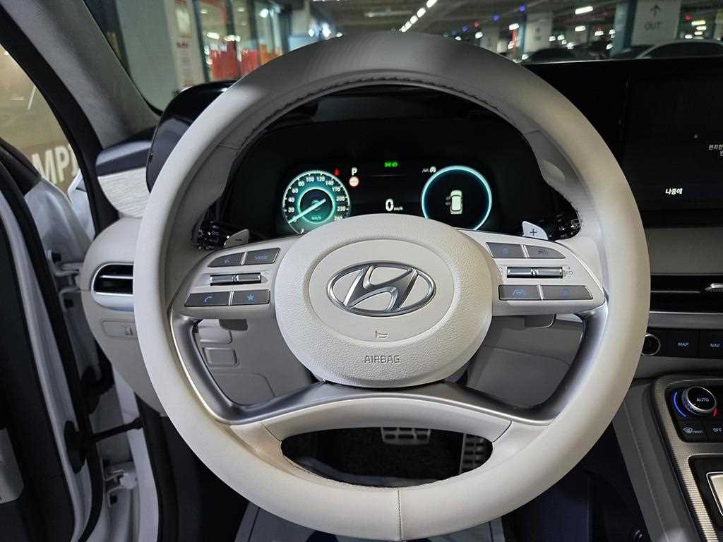 HYUNDAI Palisade - Vista 9