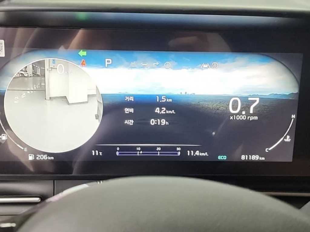 KIA Carnival - Vista 7