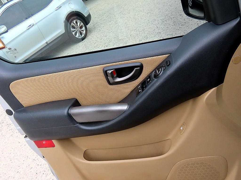 HYUNDAI Starex - Vista 12
