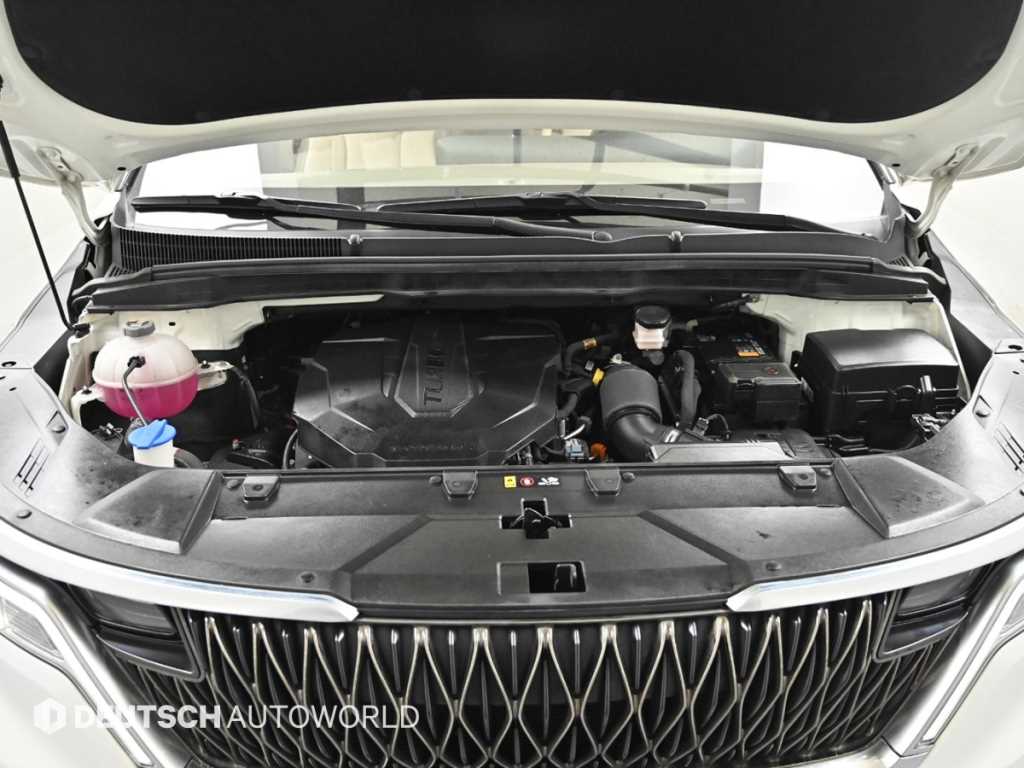 KIA Carnival - Vista 6