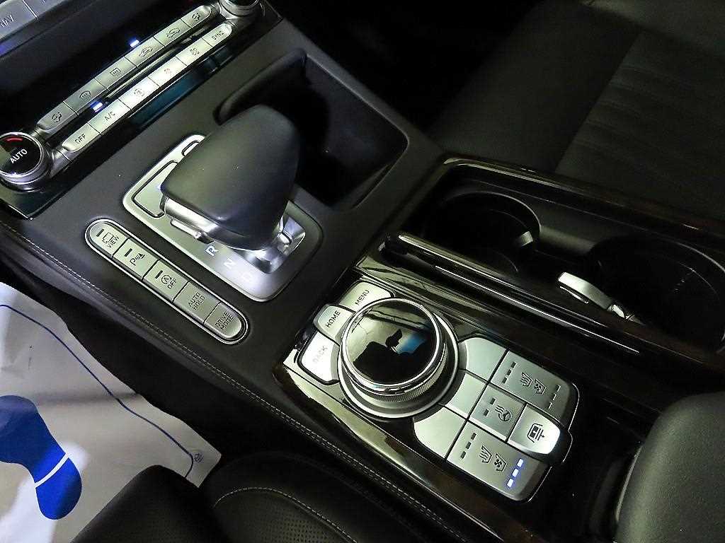Genesis G90 - Vista 12