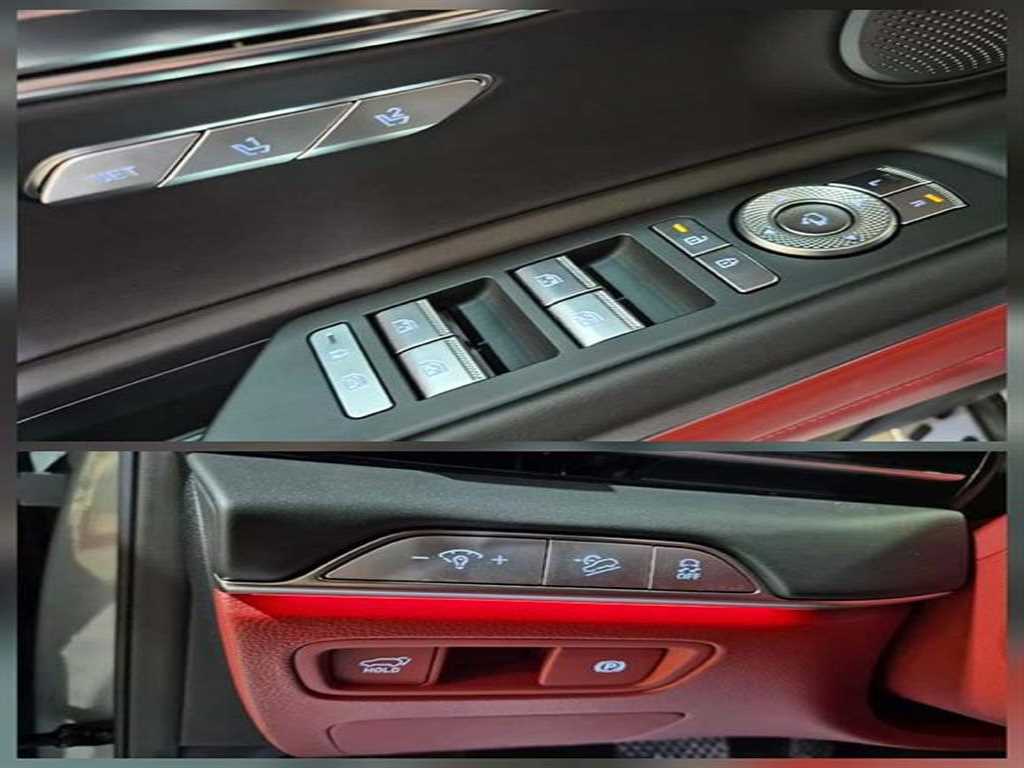 Genesis GV80 - Vista 12