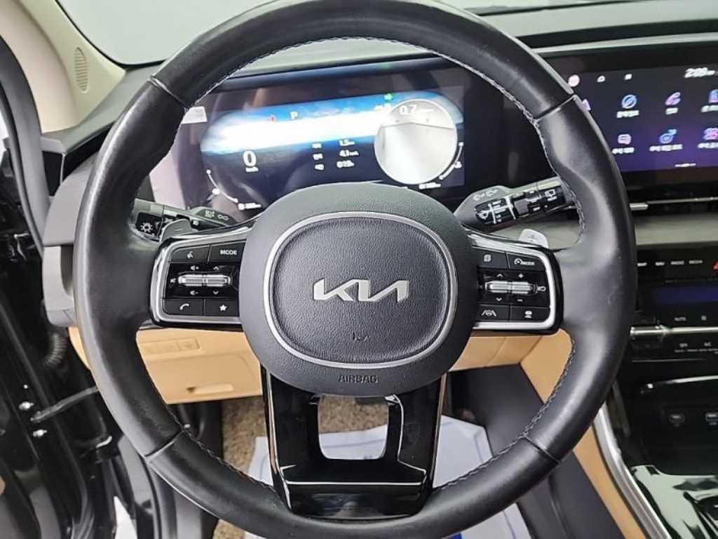 KIA Carnival - Vista 8