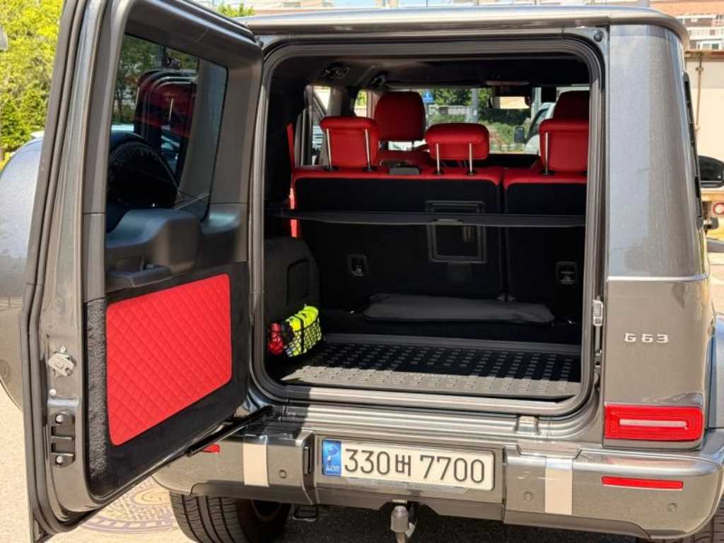Mercedes Benz G Class (G Wagen) - Vista 12