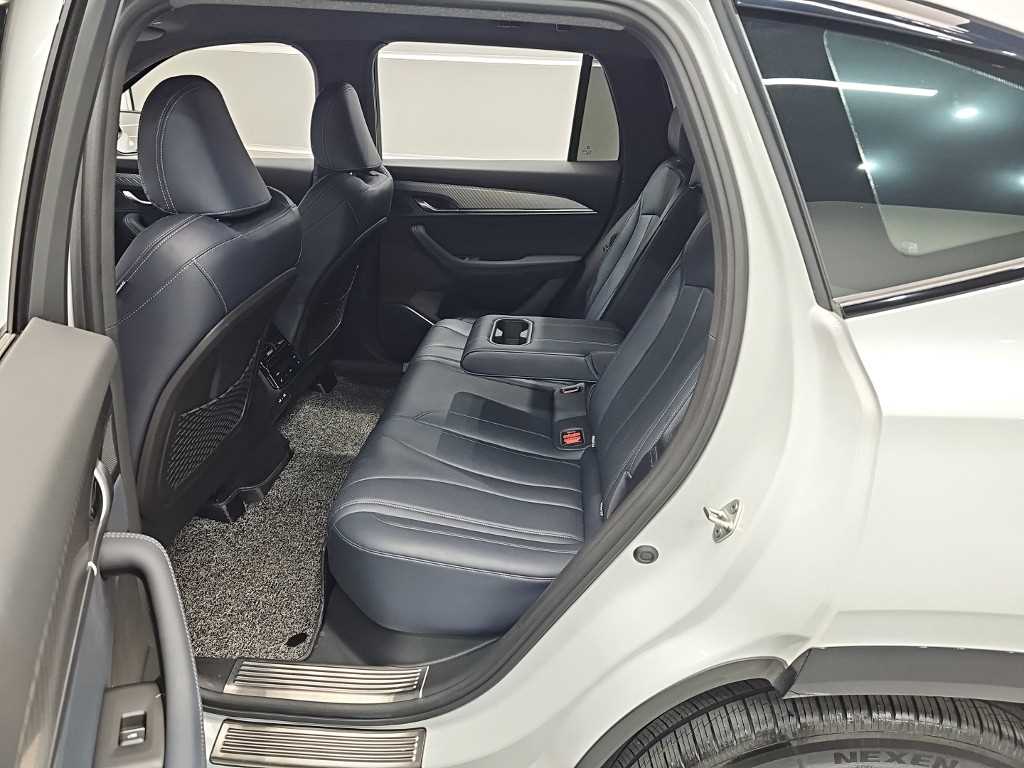 SAMSUNG Grand Koleos - Vista 12