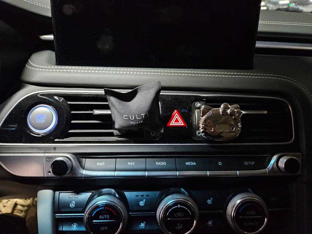Genesis G70 - Vista 12