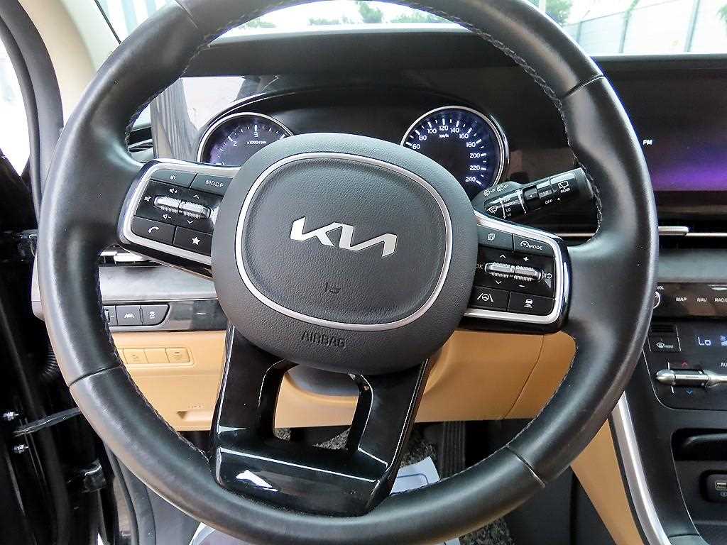 KIA Carnival - Vista 9