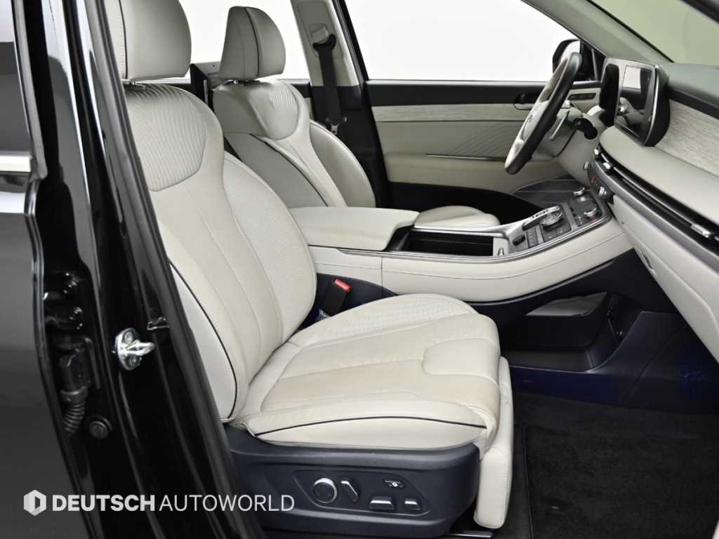 HYUNDAI Palisade - Vista 10