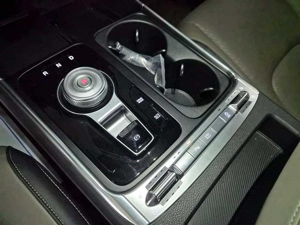 KIA Carnival - Vista 12